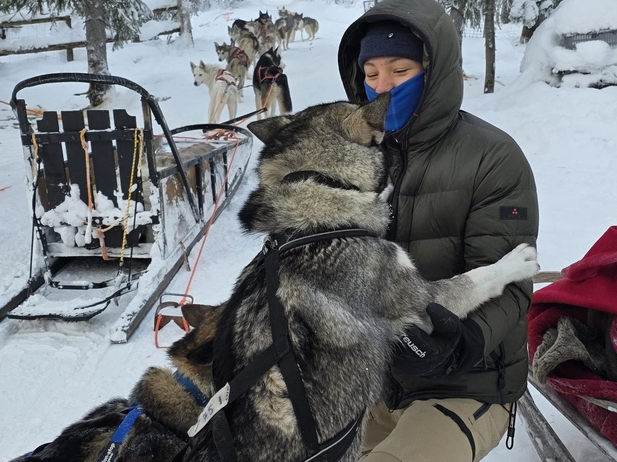 Huskytocht — Levi